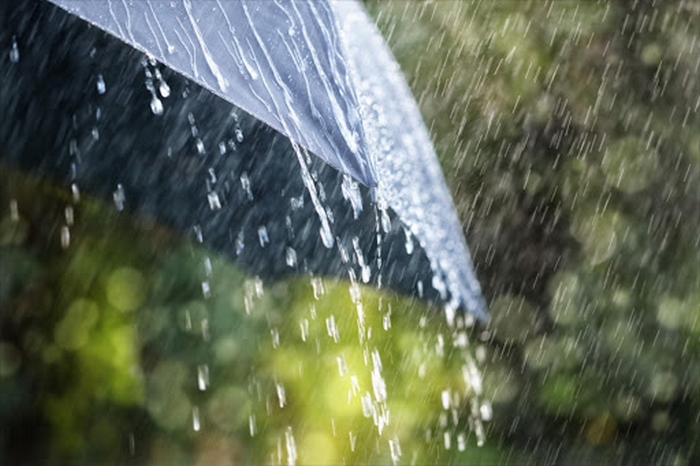 rain-umbrella-6