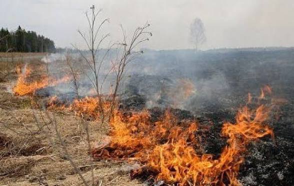 Пожар пламна между Старо Железаре и Паничери, 6 екипа гасят огъня